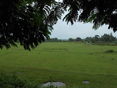 Naya Khani; The Tribal Festival